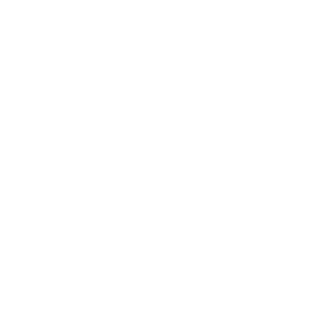 Bespoke awards produced for Lush Cosmetics