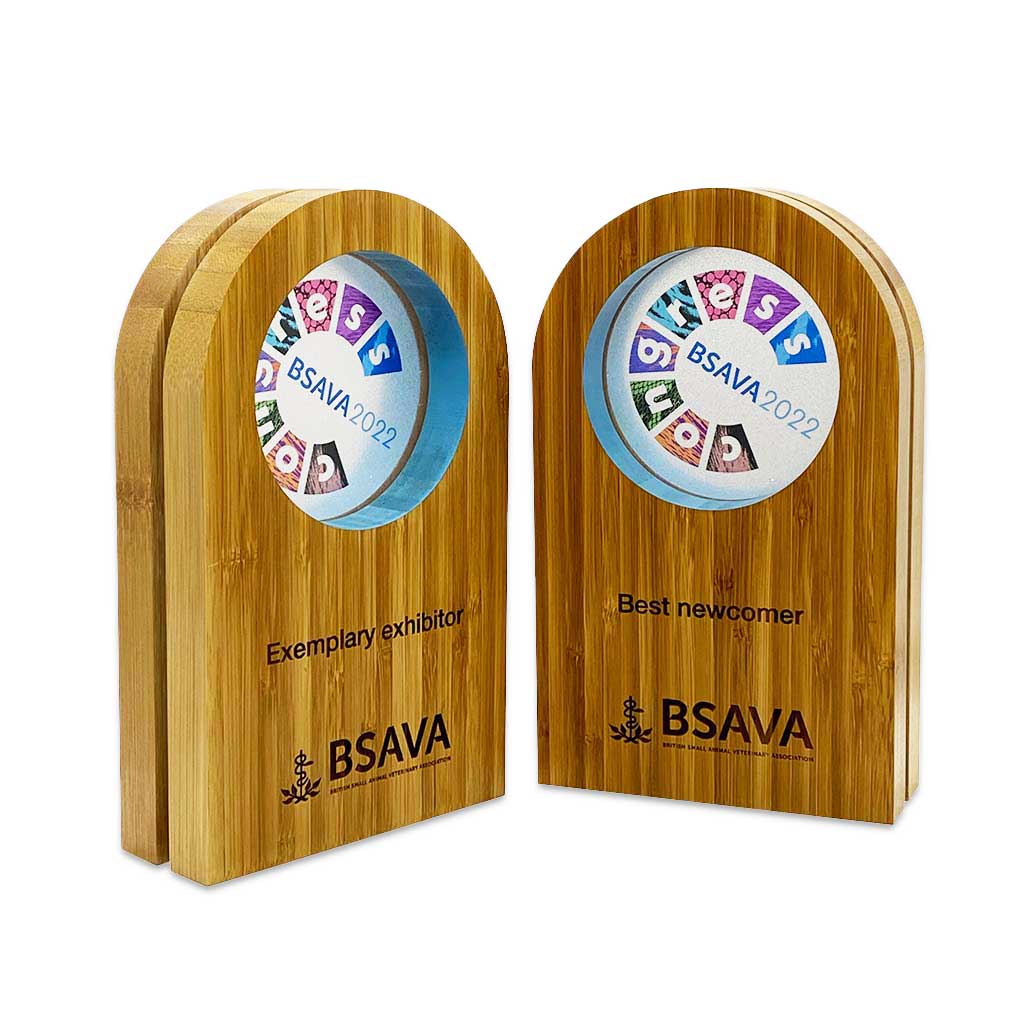 Borlewen bamboo award with coloured inlay – sustainable eco design – in stock and ready to order