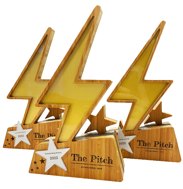 Hykka ready-made lightning bolt award in bamboo and recycled acrylic – view product