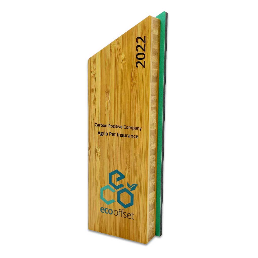 Demelza award made from bamboo and recycled acrylic – a popular choice for schools and education awards – in stock and ready to order