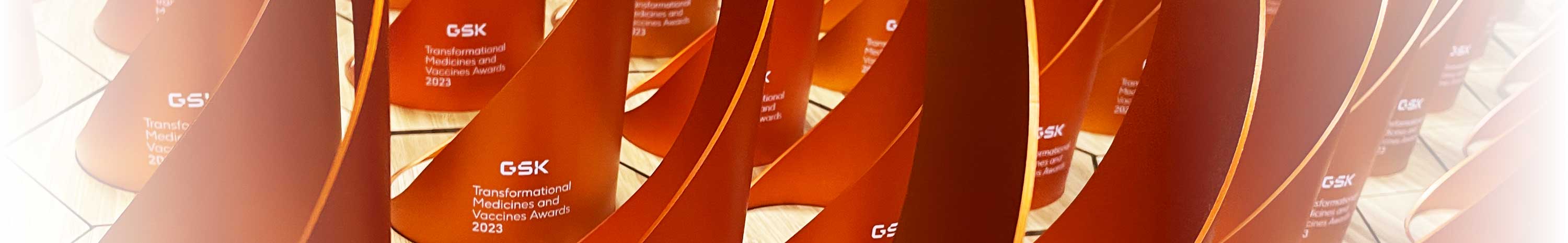 Bespoke and custom awards with worldwide delivery | Produced by More Awards