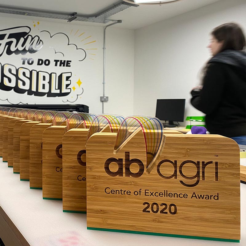 Multiple student and education wards using bamboo with acrylic detail | More Awards