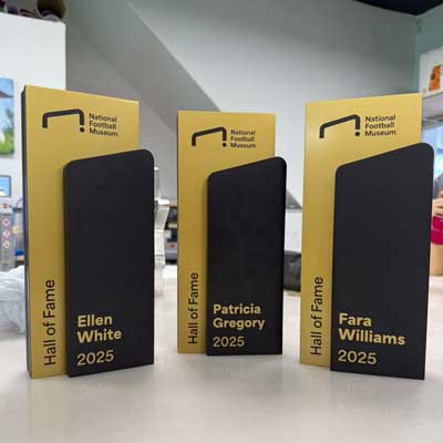 goldHall of fame awards in black and granite finish.
