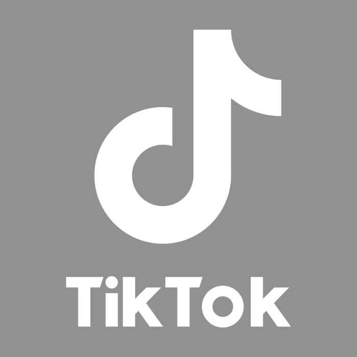TikTok Logo | More Awards