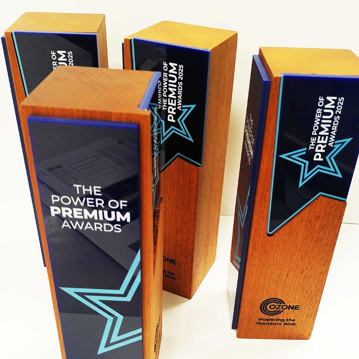 Power of Premium Awards trophy with star motif and wood block base – custom corporate award for Ozonepecialist More awards