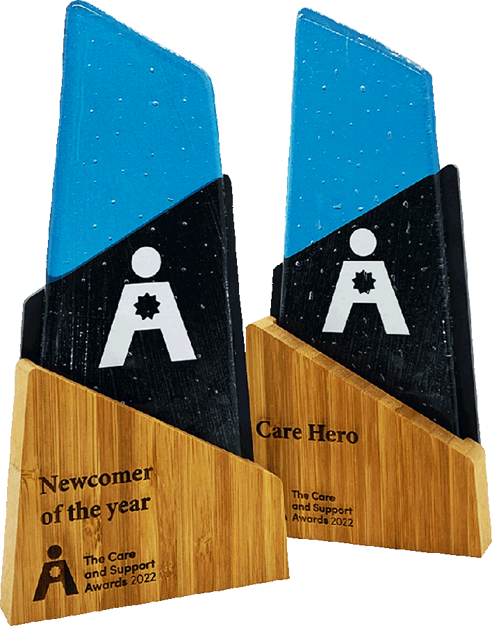 Aswen sustainable award made from bamboo and recycled glass by More Awards