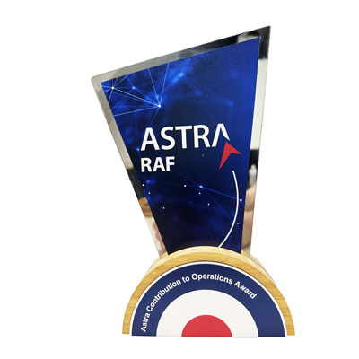 Free Standing Agone award made from bamboo and stainless steel