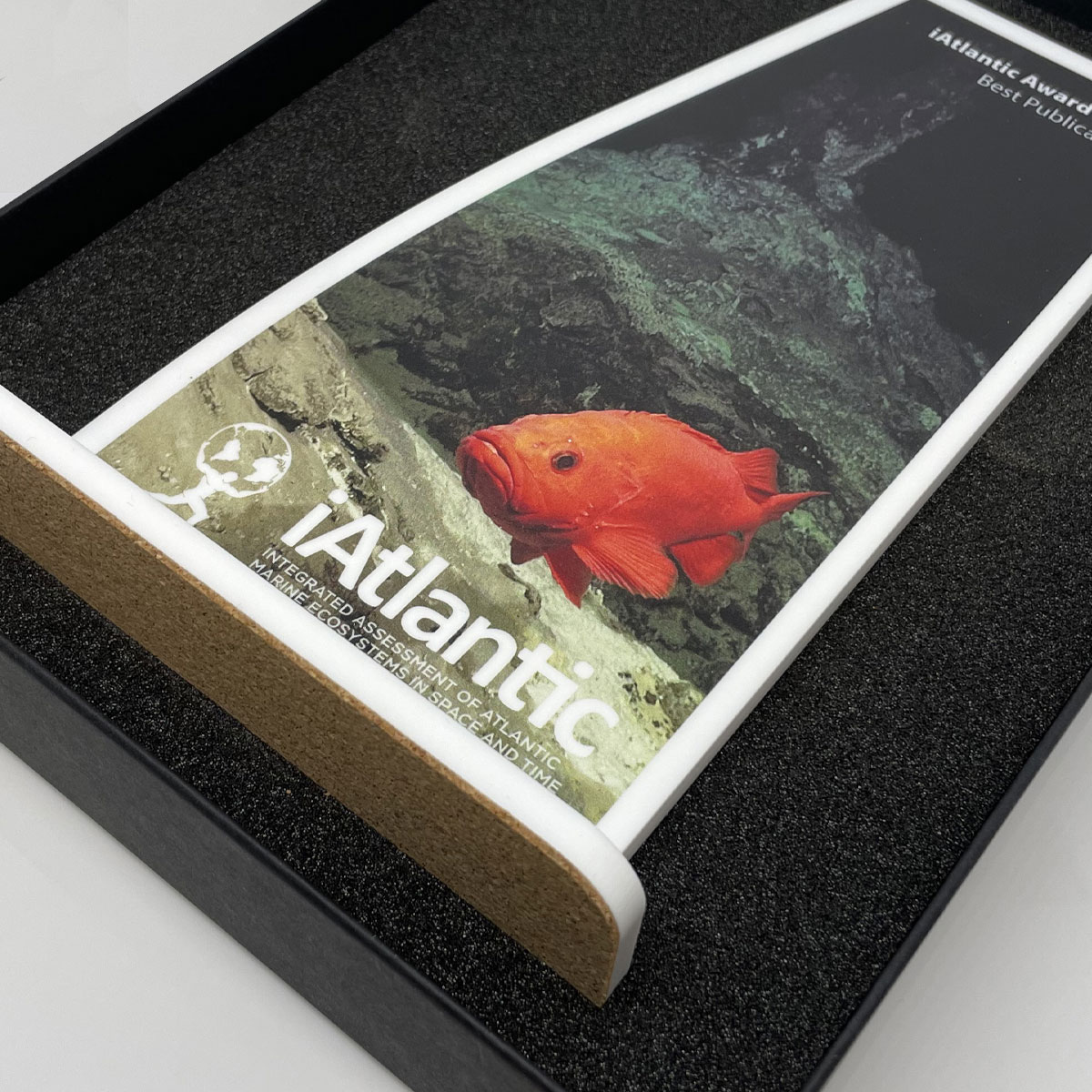 Ailla Eco-friendly award made from bamboo and recycled acrylic, crafted by More Awards for recognising green initiatives and sustainable business achievements