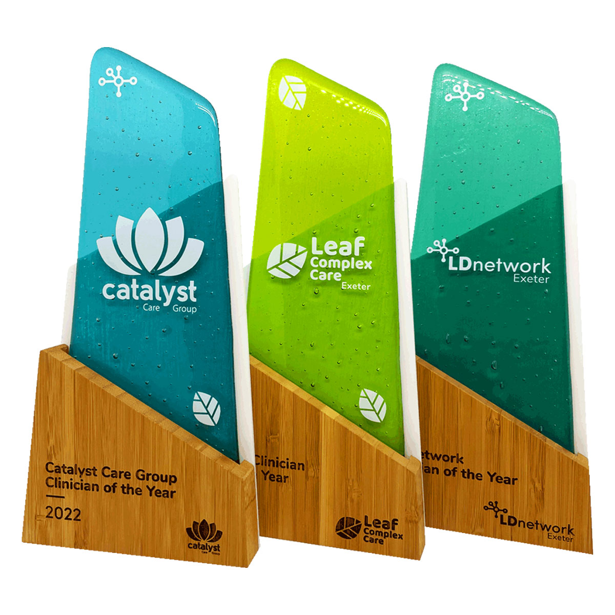 Customisable sustainable Award by More Awards | Ready to despatch