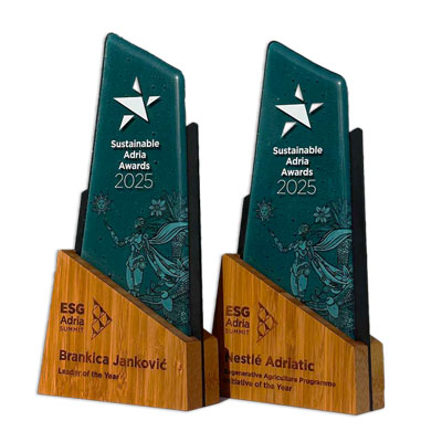 Eco-conscious trophy with kiln-fired recycled glass and natural bamboo support.