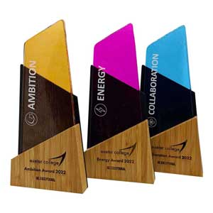 Sustainably made award combining smooth recycled glass and renewable bamboo.