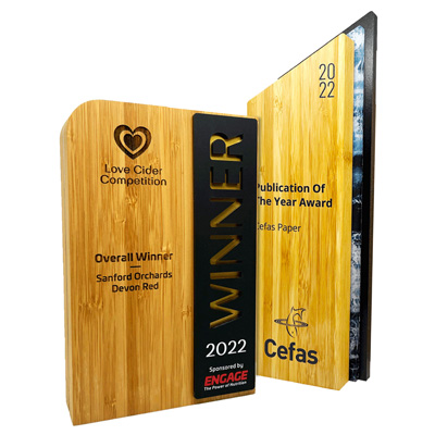 Quality bamboo awards with sustainable finish for employer of the year and customer service