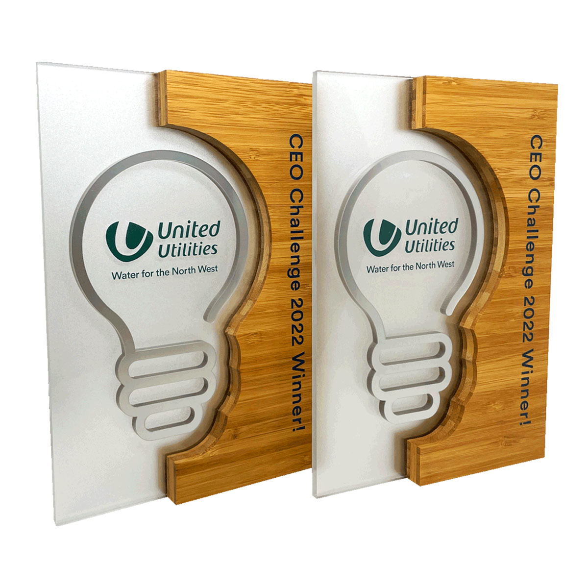 Corporate lightbuld award shape with fast delivery