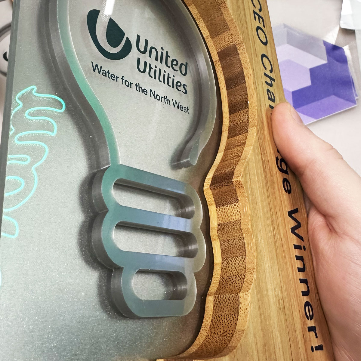 Textured 3D custom award created by More Awards using layered sustainable materials