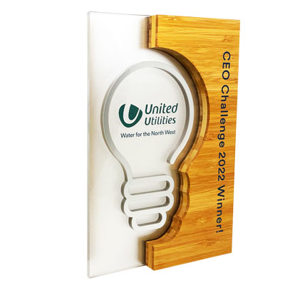 Light bulb shape awards with custom branding for event