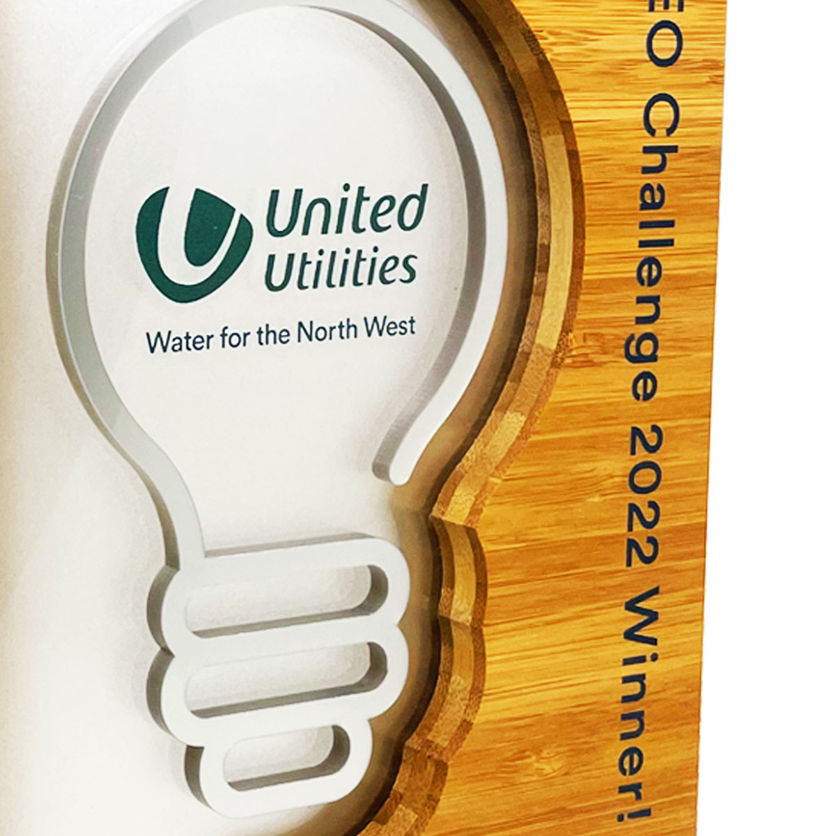 Bolen recycled acrylic and natural bamboo award designed by More Awards for eco-themed recognition events