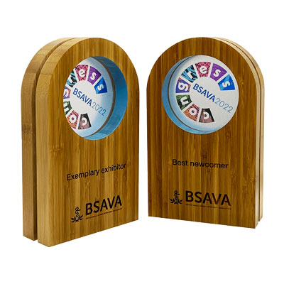 Sustainable awards with coloured inlay detail by More awards