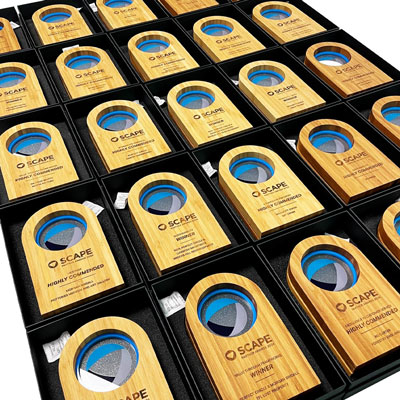Borlewen custom award quality presentation boxes