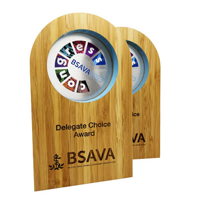 Sustainable bamboo trophy with centre disc by More Awards