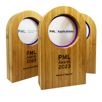 Bamboo awards with custom acrylic inlay detail for achievement awards
