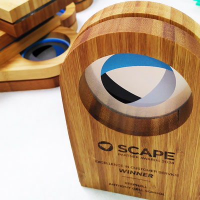 Bamboo trophy with acrylic centre panel | Borlewen Award