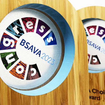 Branded bamboo Borlewen award with round logo detail