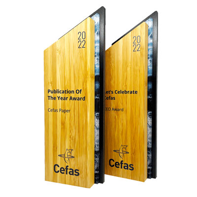 Demelza bamboo award with sustainable design