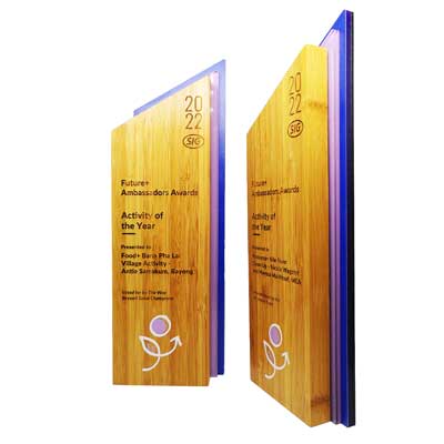 Elegant green-toned glass award on a tactile bamboo base, designed for impact.