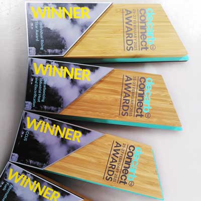Sustainable bamboo award for corporate events