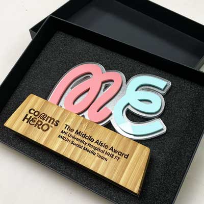 Sustainable bamboo award with presentation box