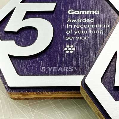 Brushed stainless steel affect detail on front of medals with ribon