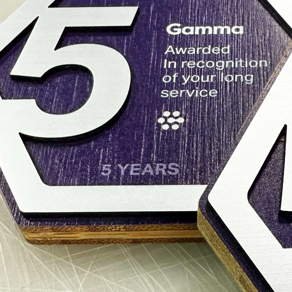 Brushed stainless steel affect detail on front of medals with ribon | by More Awards