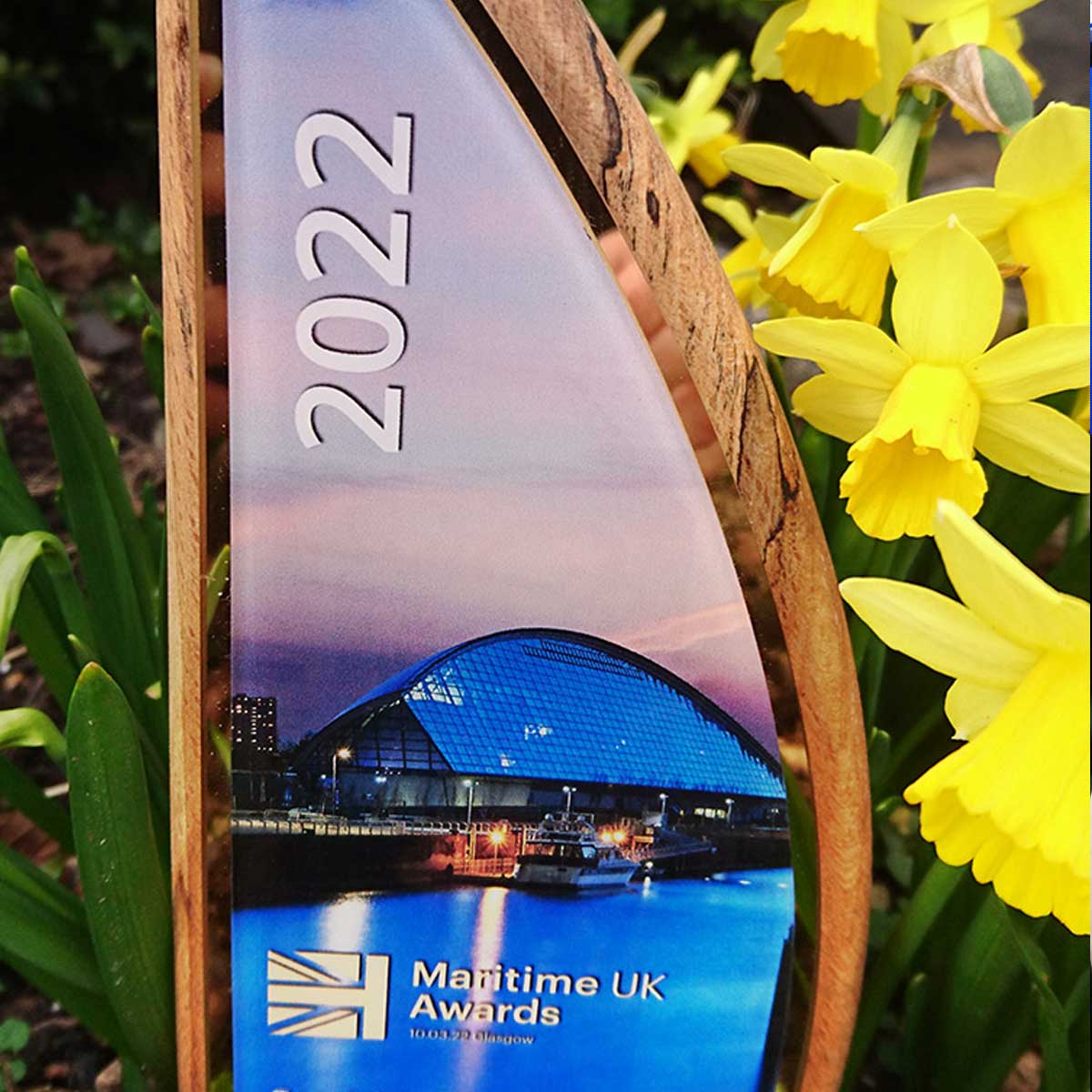 Marine award next to daffodil flower at award event in the UK | More Awards