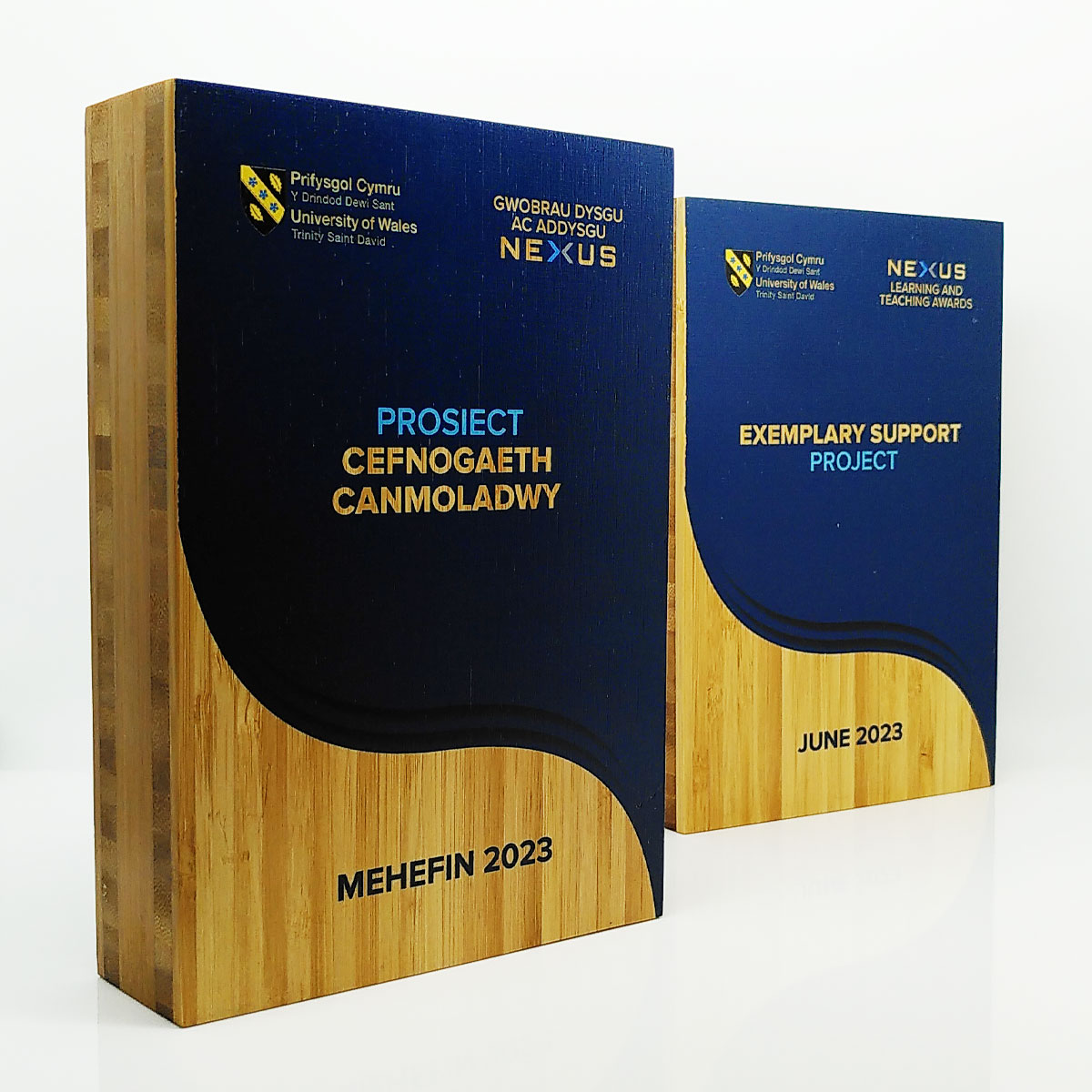 Premium engraved wooden block award designed by More Awards for school and college recognition ceremonies