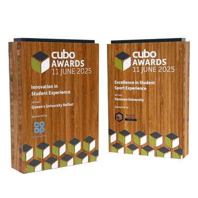 Logo on the front of corporate awards with sustainable materials