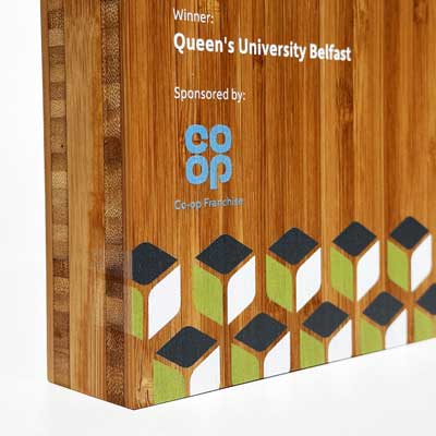 Eco-friendly wooden university award
