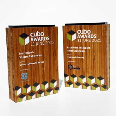Direct-print wooden award for business events