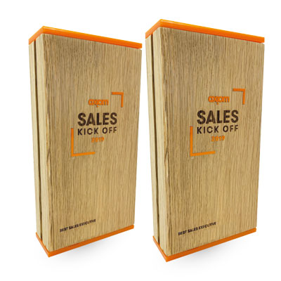 Sales kick off awards with bespoke branding for company