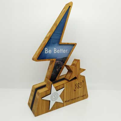 Hykka Award with star detail for most improved recognition