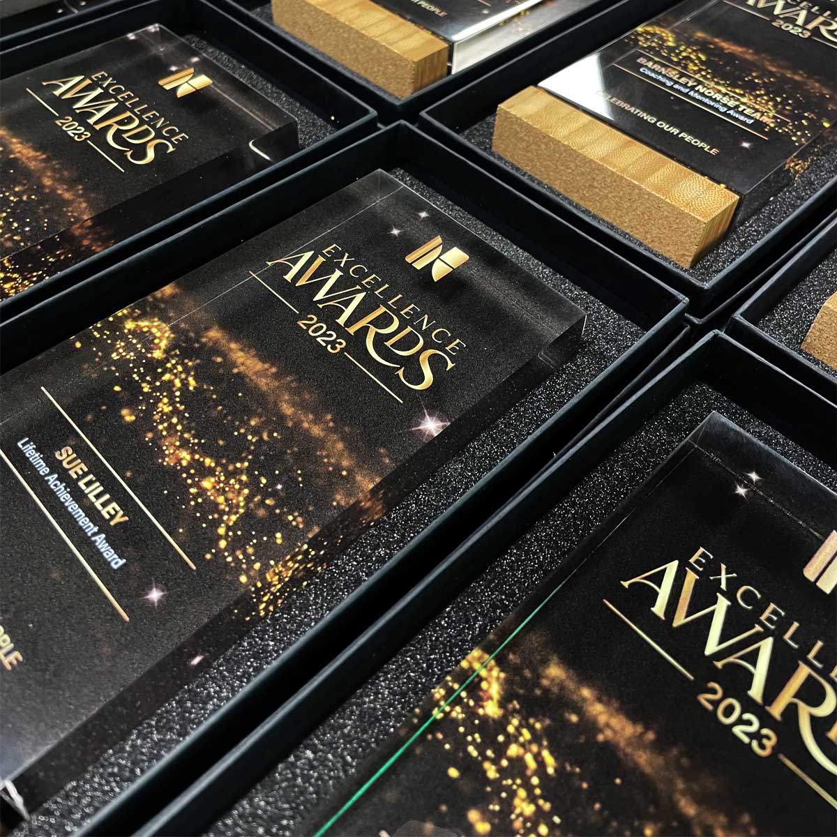 Jago clear acrylic block trophy with bamboo base, created by More Awards for charity excellence fundraising awards, volunteer recognition, and community celebrations
