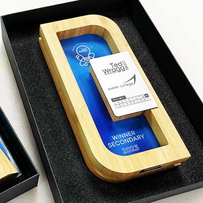Custom bamboo frame trophy with branded plaque