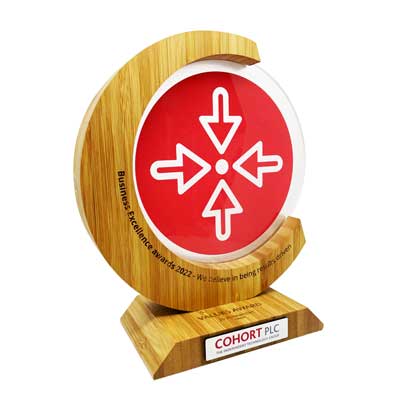 Sustainable bamboo awards with corporate branding