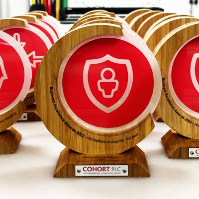 Eco-friendly bamboo award with centre acrylic panel