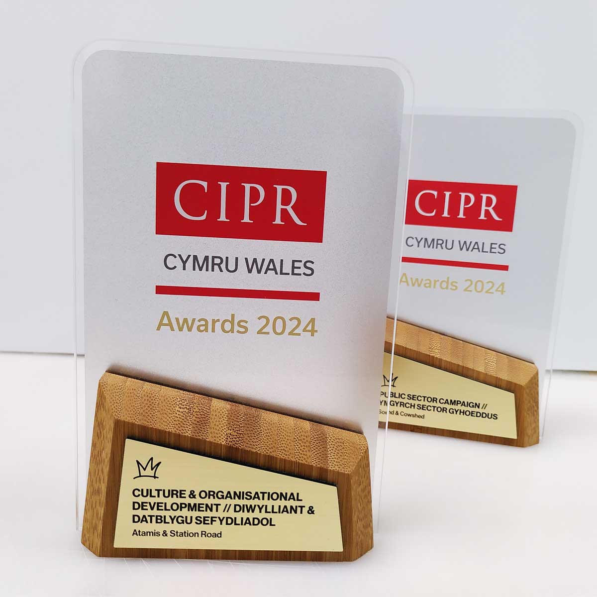 Public sector excellence awards produced from bamboo and acrylic.