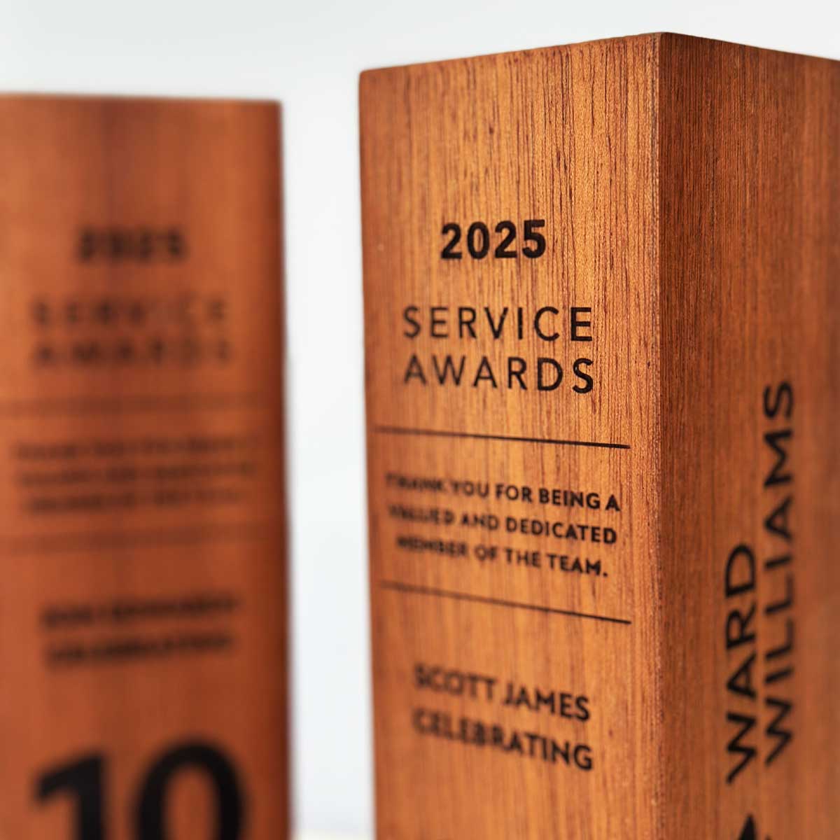 Locryn Award presented at HR and corporate milestone events by More Awards