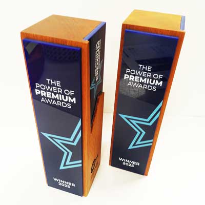 Tall premium awards made from eco fallen tree timber