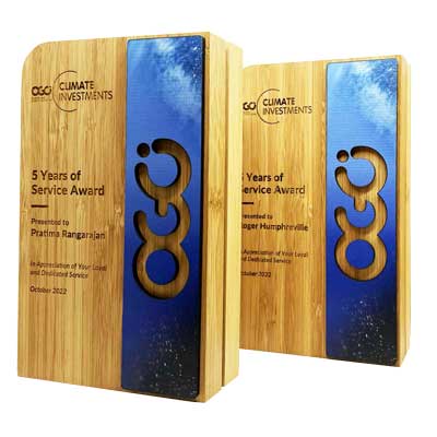 Wooden bamboo awards for 10 years service by More awards