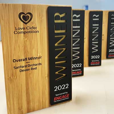 Gold and silver awards with sponsor detail produced by More awards