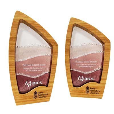 Corporate glass awards with quality feel ready to sepatch with next day delivery