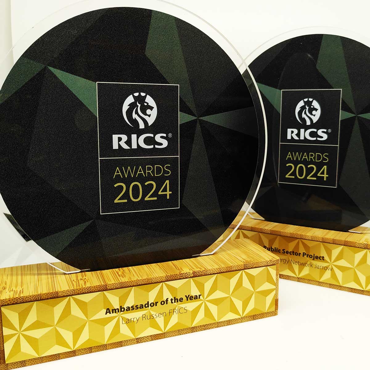 Pawly awards with ambassador of the year awards for corporate event by More Awards